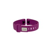 Band Replacement FitGo for FW11 Purple